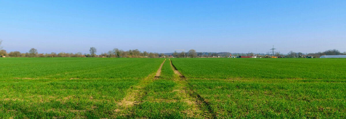 Actualisatie vergunningen - BMD Advies